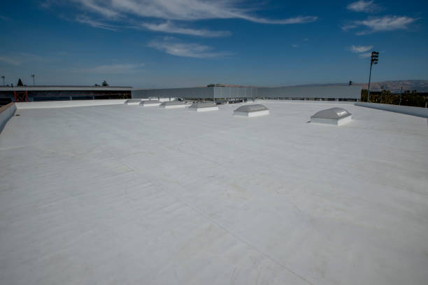 Best Roof Insulation Installation  in Cold Springs, NV