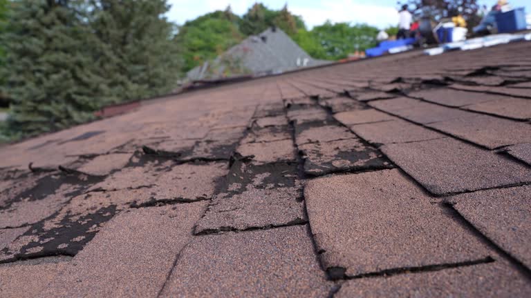 Gutter Replacement in Cold Springs, NV