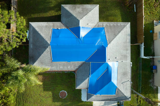 Best Solar Panel Roofing Installation  in Cold Springs, NV