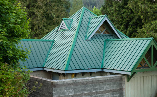 Best Roof Ventilation Installation  in Cold Springs, NV